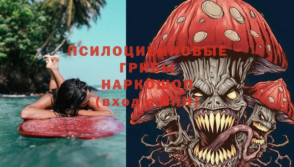 дмт Богданович